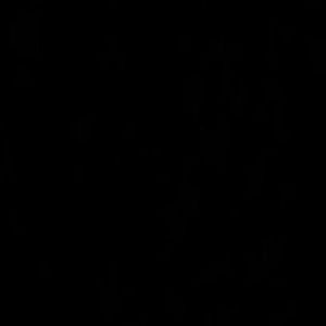 Meet your Posher, Andre